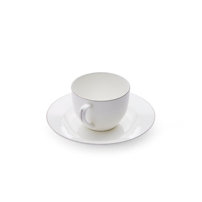 Royal Worcester Serendipity Platinum Teacup & Saucer