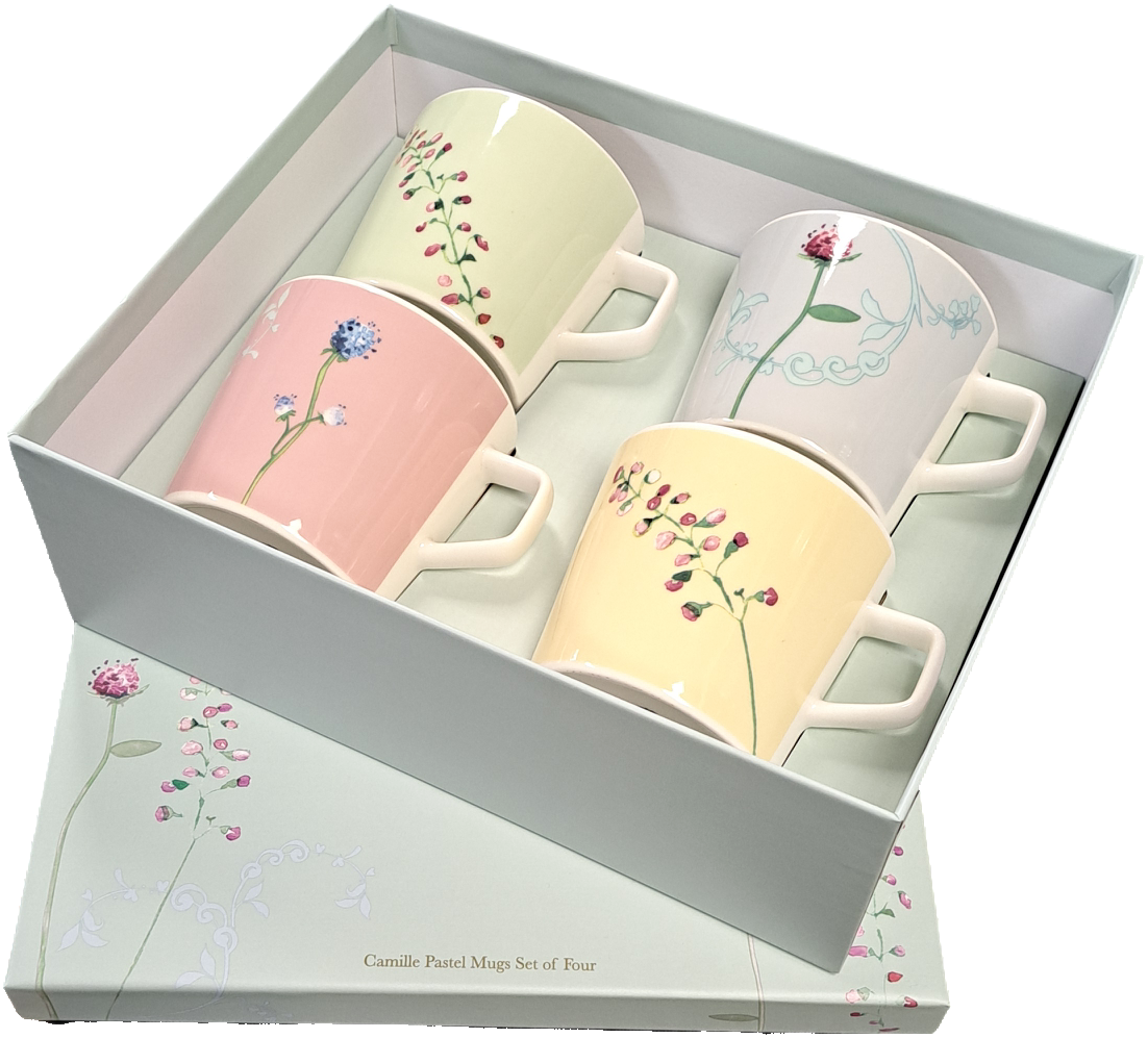 Aynsley Camille Pastel Mug Set of 4-Goviers