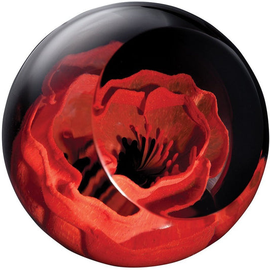 Caithness Glass Poppy Paperweight-Paperweights-Goviers