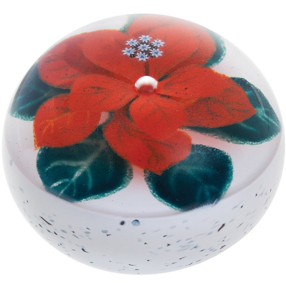 Caithness Glass Winter Poinsettia-Paperweights-Goviers