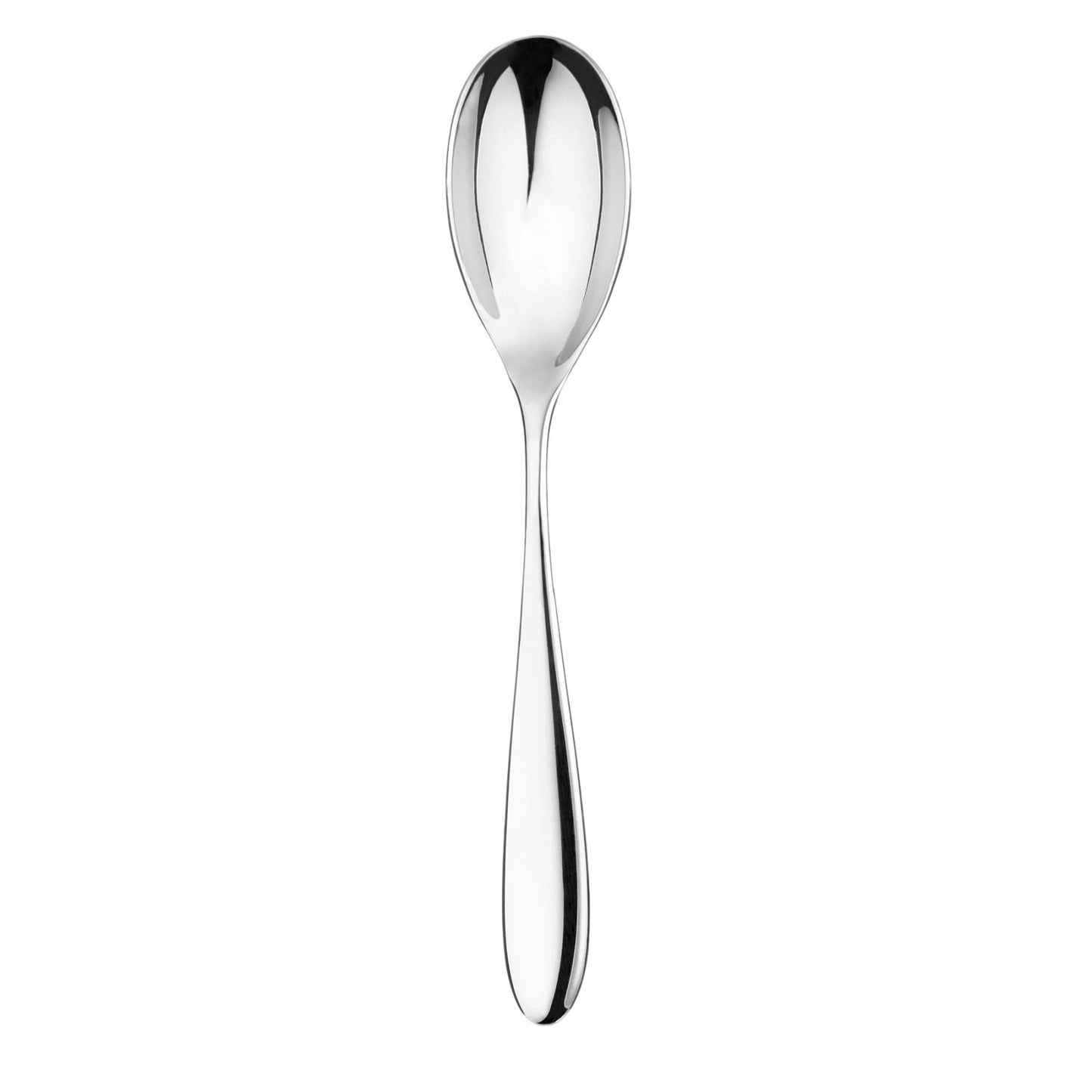 Charingworth Santol Mirror Serving Spoon