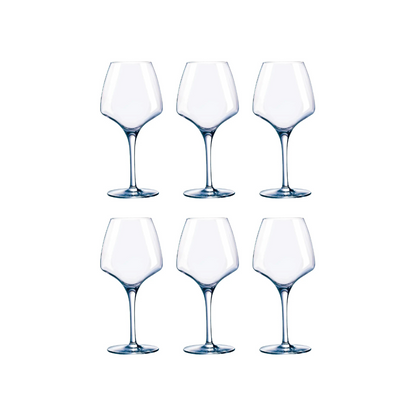 Chef & Sommelier Short Stemmed Universal Wine Glass Set of 6