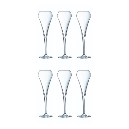 Chef & Sommelier Fizz Glasses Set of 6