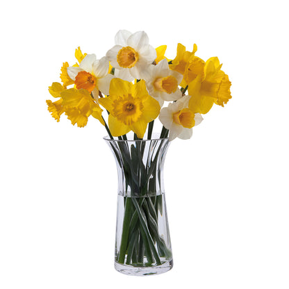 Dartington Crystal Florabundance Daffodil Vase