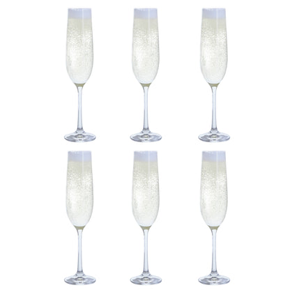 Dartington Crystal Six Flute Set of 6